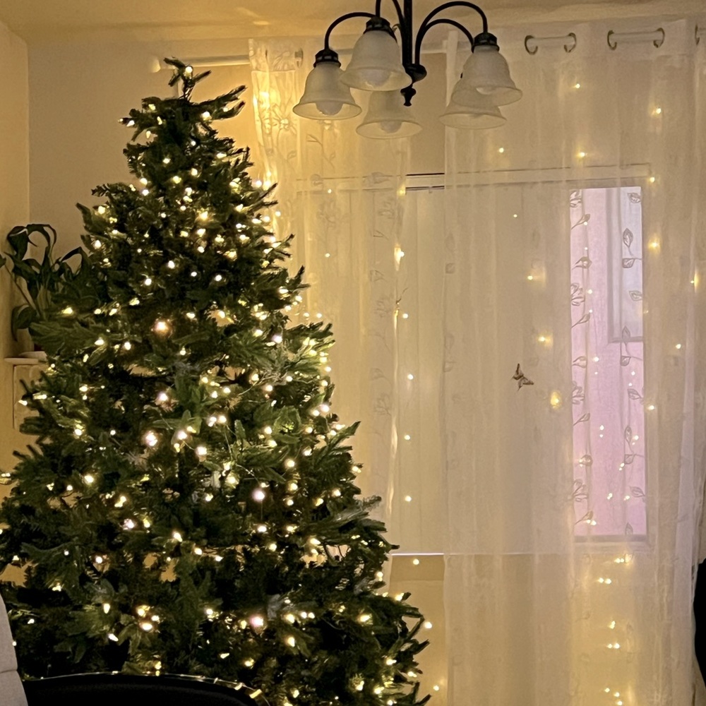 Meet your Posher, Angel